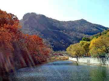 奥门天天开奖免费资料，长春阳光板